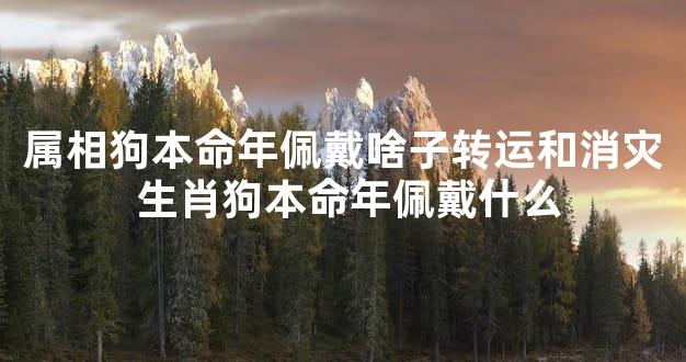 属相狗本命年佩戴啥子转运和消灾 生肖狗本命年佩戴什么